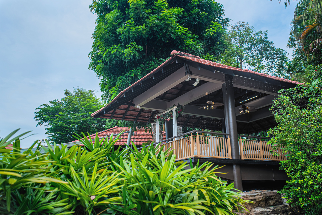 Treehouse BBQ